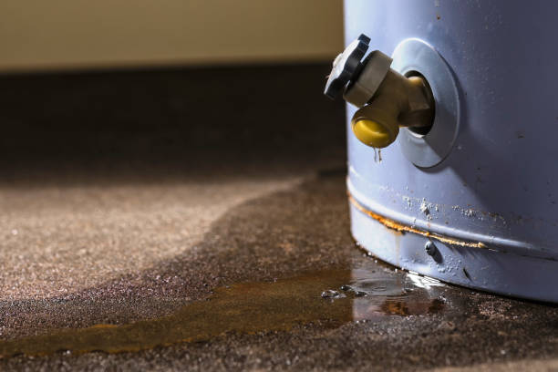 Best Residential water damage restoration  in Lowell, AR