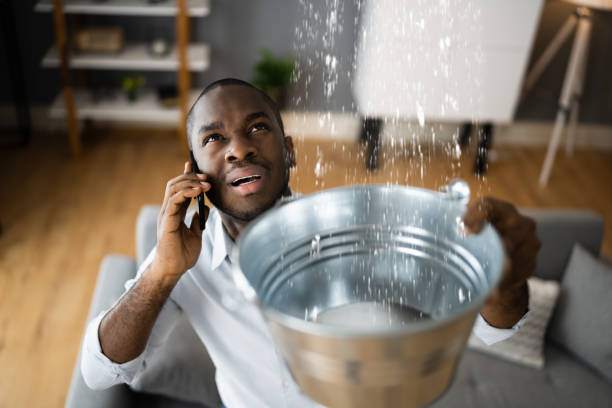  Lowell, AR Water damage restoration Pros