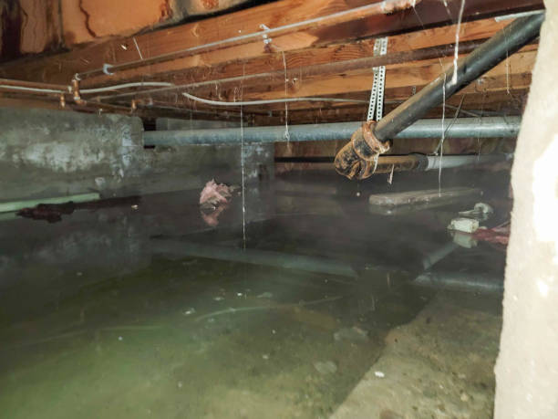 Trusted AR Water damage restoration Experts