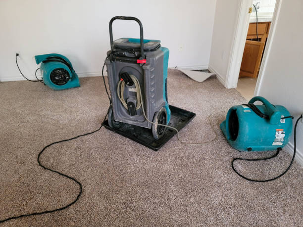 Best Ceiling water damage repair  in Lowell, AR