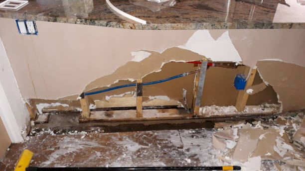 Best Sewage cleanup and water damage restoration  in Lowell, AR