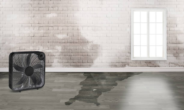 Best Flood damage cleanup  in Lowell, AR