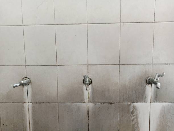Best Local water damage restoration  in Lowell, AR